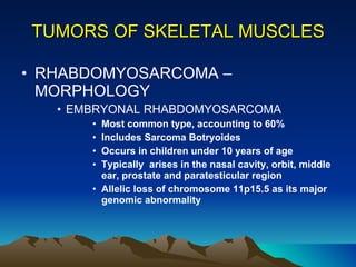 TUMORS OF SKELETAL MUSCLES RHABDOMYOSARCOMA – MORPHOLOGY EMBRYONAL RHABDOMYOSARCOMA Most common type, accounting to 60% Includes Sarcoma Botryoides Occurs in children under 10 years of age Typically  arises in the nasal cavity, orbit, middle ear, prostate and paratesticular region Allelic loss of chromosome 11p15.5 as its major genomic abnormality 