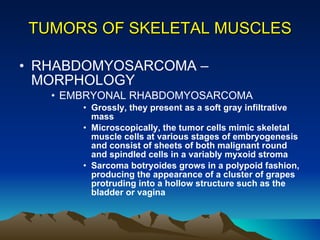 TUMORS OF SKELETAL MUSCLES RHABDOMYOSARCOMA – MORPHOLOGY EMBRYONAL RHABDOMYOSARCOMA Grossly, they present as a soft gray infiltrative mass Microscopically, the tumor cells mimic skeletal muscle cells at various stages of embryogenesis and consist of sheets of both malignant round and spindled cells in a variably myxoid stroma Sarcoma botryoides grows in a polypoid fashion, producing the appearance of a cluster of grapes protruding into a hollow structure such as the bladder or vagina  