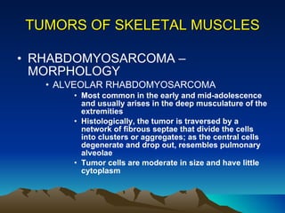 TUMORS OF SKELETAL MUSCLES RHABDOMYOSARCOMA – MORPHOLOGY ALVEOLAR RHABDOMYOSARCOMA Most common in the early and mid-adolescence and usually arises in the deep musculature of the extremities  Histologically, the tumor is traversed by a network of fibrous septae that divide the cells into clusters or aggregates; as the central cells degenerate and drop out, resembles pulmonary alveolae Tumor cells are moderate in size and have little cytoplasm 