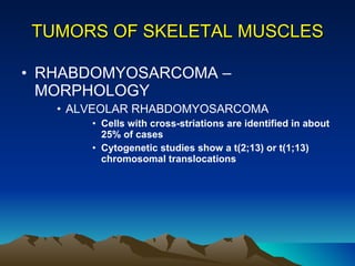 TUMORS OF SKELETAL MUSCLES RHABDOMYOSARCOMA – MORPHOLOGY ALVEOLAR RHABDOMYOSARCOMA Cells with cross-striations are identified in about 25% of cases Cytogenetic studies show a t(2;13) or t(1;13) chromosomal translocations 