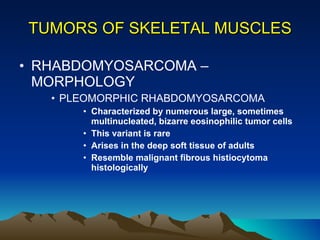 TUMORS OF SKELETAL MUSCLES RHABDOMYOSARCOMA – MORPHOLOGY PLEOMORPHIC RHABDOMYOSARCOMA Characterized by numerous large, sometimes multinucleated, bizarre eosinophilic tumor cells This variant is rare Arises in the deep soft tissue of adults  Resemble malignant fibrous histiocytoma histologically 