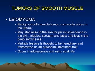 TUMORS OF SMOOTH MUSCLE LEIOMYOMA Benign smooth muscle tumor, commonly arises in the uterus May also arise in the erector pili muscles found in the skin, nipples, scrotum and labia and less in the deep soft tissues Multiple lesions is thought to be hereditary and transmitted as an autosomal dominant trait Occur in adolescence and early adult life 