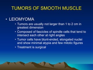 TUMORS OF SMOOTH MUSCLE LEIOMYOMA Tumors are usually not larger than 1 to 2 cm in greatest dimension  Composed of fascicles of spindle cells that tend to intersect each other at right angles Tumor cells have blunt-ended, elongated nuclei and show minimal atypia and few mitotic figures Treatment is surgical 