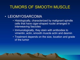 TUMORS OF SMOOTH MUSCLE LEIOMYOSARCOMA Histologically, characterized by malignant spindle cells that have cigar-shaped nuclei arranged in interweaving fascicles Immunologically, they stain with antibodies to vimentin, actin, smooth muscle actin and desmin Treatment depends on the size, location and grade of the tumor 