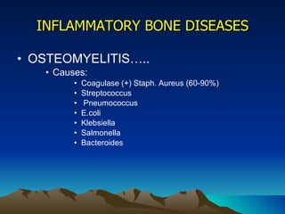 INFLAMMATORY BONE DISEASES OSTEOMYELITIS….. Causes: Coagulase (+) Staph. Aureus (60-90%) Streptococcus Pneumococcus E.coli Klebsiella Salmonella Bacteroides 