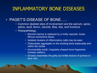 INFLAMMATORY BONE DISEASES PAGET’S DISEASE OF BONE….. Common skeletal sites of involvement are the sacrum, spine, pelvis, skull, femur, clavicle, tibia, ribs, and humerus Histopathology: Normal marrow is replaced by a richly vascular, loose fibrous connective tissue Isolated clusters of inflammatory cells may be seen Osteoclasts aggregate on the existing bone trabeculae and within the cortex Innumerable small, irregularly shaped bone fragments (mosaic pattern) Grossly resembles the gritty but brittle texture of pumice or lava rock  