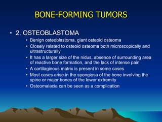 BONE-FORMING TUMORS 2. OSTEOBLASTOMA Benign osteoblastoma, giant osteoid osteoma Closely related to osteoid osteoma both microscopically and ultrastructurally It has a larger size of the nidus, absence of surrounding area of reactive bone formation, and the lack of intense pain A cartilaginous matrix is present in some cases Most cases arise in the spongiosa of the bone involving the spine or major bones of the lower extremity Osteomalacia can be seen as a complication 