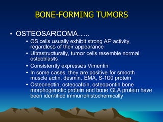 BONE-FORMING TUMORS OSTEOSARCOMA….. OS cells usually exhibit strong AP activity, regardless of their appearance Ultrastructurally, tumor cells resemble normal osteoblasts Consistently expresses Vimentin In some cases, they are positive for smooth muscle actin, desmin, EMA, S-100 protein Osteonectin, osteocalcin, osteopontin bone morphogenetic protein and bone GLA protein have been identified immunohistochemically 