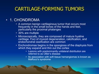 CARTILAGE-FORMING TUMORS 1. CHONDROMA A common benign cartilaginous tumor that occurs most frequently in the small bones of the hands and feet, particularly the proximal phalanges 30% are multiple Microscopically, they are composed of mature hyaline cartilage. Foci of myxoid degeneration, calcification, and endochondral ossification are common Enchondromas begins in the spongiosa of the diaphysis from which they expand and thin out the cortex Lesions with predominantly unilateral distribution are referred to as Ollier’s disease Its association with soft tissue hemangiomas is known as Maffucci’s syndrome 