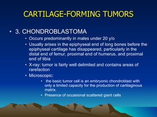 CARTILAGE-FORMING TUMORS 3. CHONDROBLASTOMA Occurs predominantly in males under 20 y/o Usually arises in the epiphyseal end of long bones before the epiphyseal cartilage has disappeared, particularly in the distal end of femur, proximal end of humerus, and proximal end of tibia X-ray: tumor is fairly well delimited and contains areas of rarefaction Microscopic: the basic tumor cell is an embryonic chondroblast with only a limited capacity for the production of cartilaginous matrix. Presence of occasional scattered giant cells 