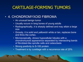 CARTILAGE-FORMING TUMORS 4. CHONDROMYXOID FIBROMA An unusual benign tumor Usually occurs in long bones of young adults Radiographically, it is sharply defined and may attain a large size Grossly, it is solid and yellowish white or tan, replaces bone and thins the cortex. Microscopically, shows hypocellular lobules with a chondromyxoid appearance separated by intersecting bands of fibroblast-like spindle cells and osteoclasts Strong positivity to S-100 protein Treatment is by curettage with a recurrence rate of 25%  