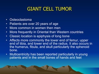 GIANT CELL TUMOR Osteoclastoma Patients are over 20 years of age More common in women then men More frequently in Oriental than Western countries Classic location is epiphysis of long bone Affects more commonly the lower end of femur, upper end of tibia, and lower end of the radius. It also occurs in the humerus, fibula, and skull particularly the sphenoid bone. Multicentricity has been reported particularly in young patients and in the small bones of hands and feet 