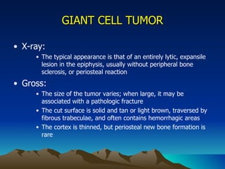 GIANT CELL TUMOR X-ray:  The typical appearance is that of an entirely lytic, expansile lesion in the epiphysis, usually without peripheral bone sclerosis, or periosteal reaction Gross: The size of the tumor varies; when large, it may be associated with a pathologic fracture The cut surface is solid and tan or light brown, traversed by fibrous trabeculae, and often contains hemorrhagic areas The cortex is thinned, but periosteal new bone formation is rare 