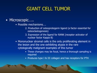 GIANT CELL TUMOR Microscopic….. Possible mechanisms…. 2. Production of osteoprotegerin ligand (a factor essential for osteoclastogenesis) 3. Expression of the ligand for RANK (receptor activator of nuclear factor Kappa B) Mononuclear stromal cells is the only proliferating element in the lesion and the one exhibiting atypia in the rare cytologically malignant examples of this tumor These changes may be focal, hence a thorough sampling is required Produces type I & III collagen and has receptors for PTH 
