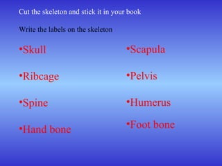 Cut the skeleton and stick it in your book
Write the labels on the skeleton
•Skull
•Ribcage
•Spine
•Hand bone
•Scapula
•Pelvis
•Humerus
•Foot bone
 