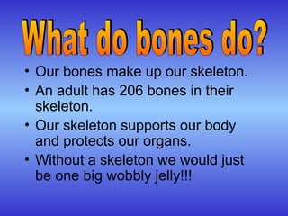 • Our bones make up our skeleton.
• An adult has 206 bones in their
skeleton.
• Our skeleton supports our body
and protects our organs.
• Without a skeleton we would just
be one big wobbly jelly!!!
 