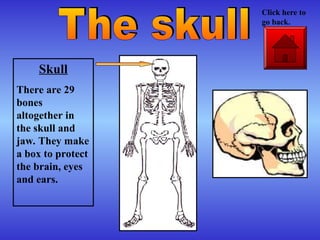 Skull
There are 29
bones
altogether in
the skull and
jaw. They make
a box to protect
the brain, eyes
and ears.
Click here to
go back.
 