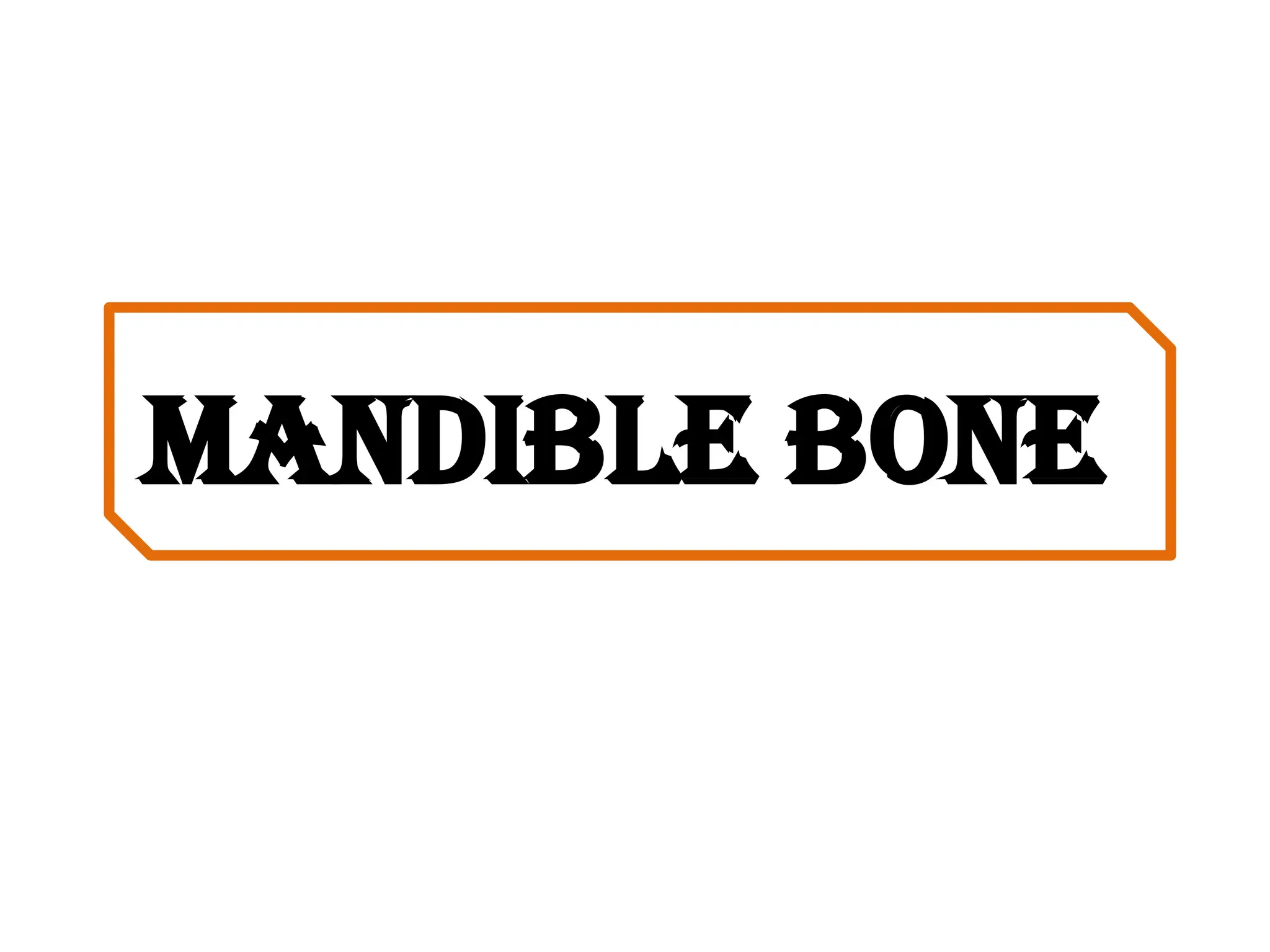 Mandible bone
 