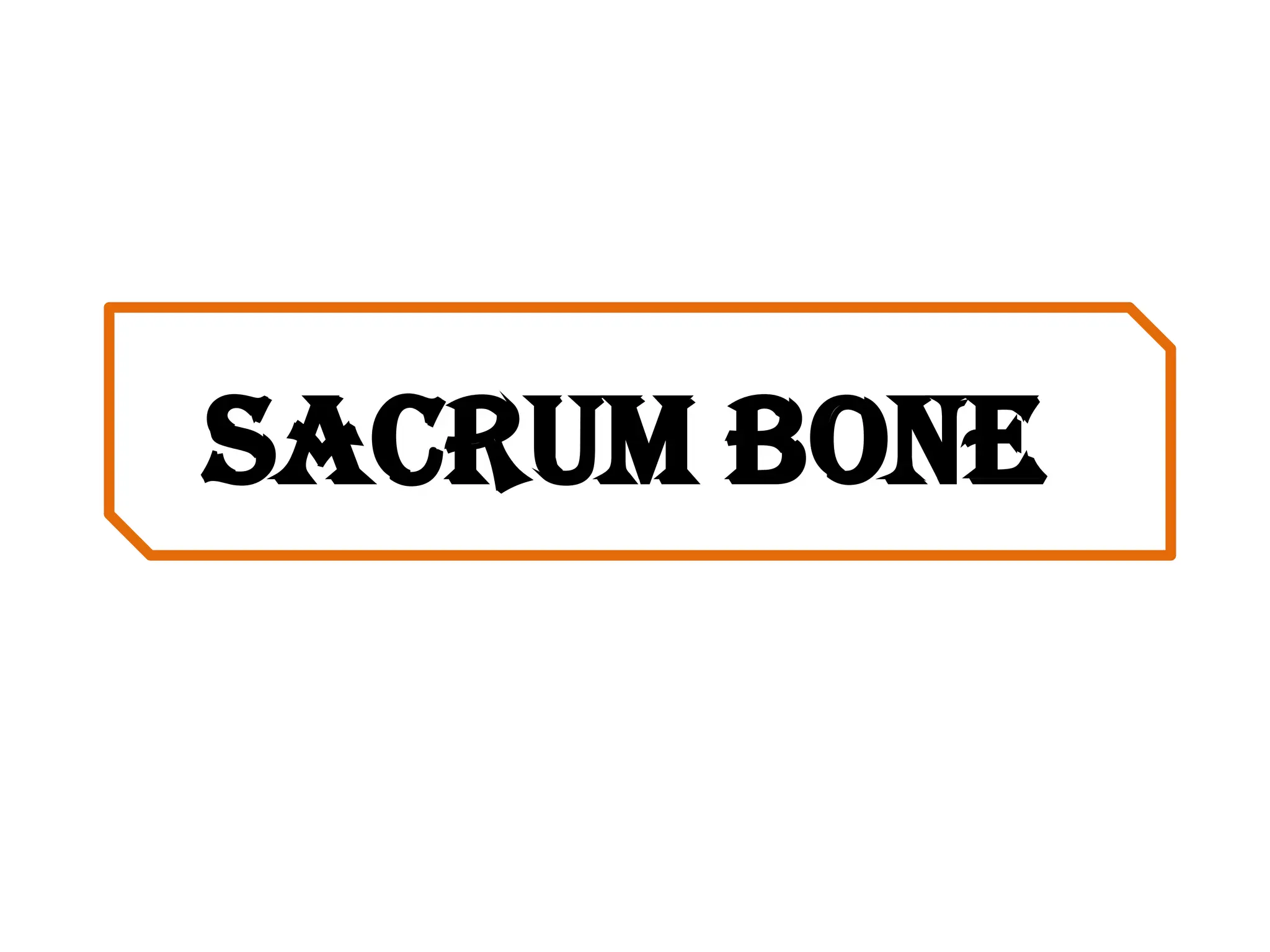 Sacrum bone
 