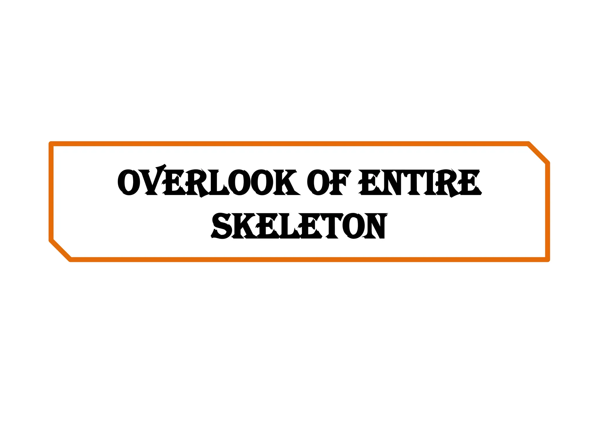 Overlook of entire
skeleton
 
