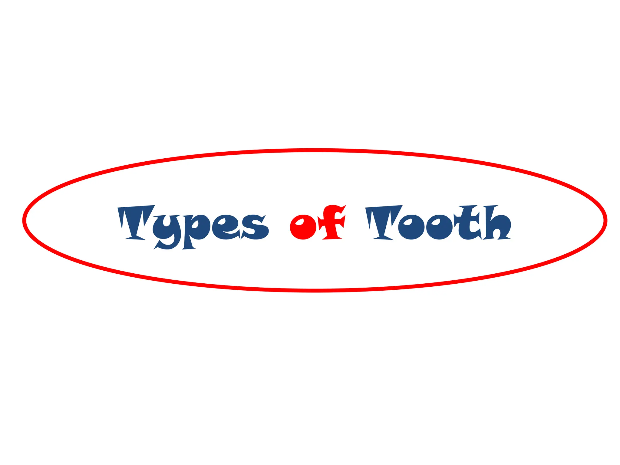 Types of Tooth
 