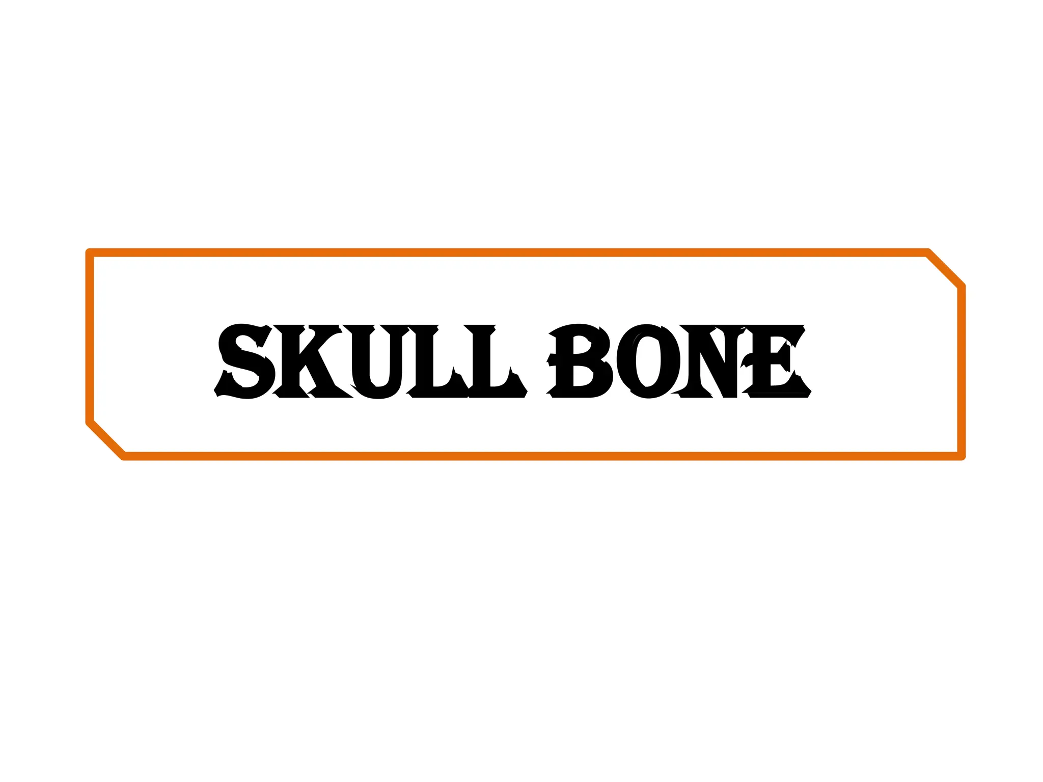Skull bone
 