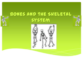 Bones and the Skeletal system 