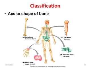 Bones and type | PPTX