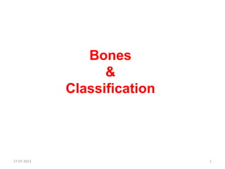 Bones
&
Classification
27-07-2023 1
 