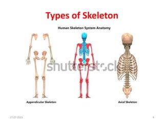 bones and type.pptx
