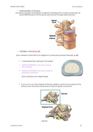 BONES AND WIRES                                                                    Our Anatomy

          INTERVERTEBRAL FORAMINA
     The spaces between the pedicles of adjacent vertebrae form a series of openings. As
          spinal NERVES branch off the spinal cord they exit through these foramina




          VERTEBRAL LINKAGE (p. 33)

      Each vertebra is attached to its neighbour by three joints (except atlas/axis, p. 60):


            1 intervertebral disc (between the bodies)

          1. ANNULUS FIBROSUS: concentric rings of
             fibrocartilage

          2. NUCLEUS PULPOSUS: the centre, made of
             gelatinous substance

             Shock absorber and weight bearer



            2 articular facets (the 2 inferior of the top vertebra contact the 2 superior of the
            bottom one), they are small and serve mainly to guide movements




Looking Inward                                                                                 22
 