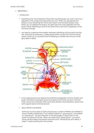 BONES AND WIRES                                                                    Our Anatomy

        BREATHING- I

          Introduction

            breathing is the most important thing in life. Everything else can wait. It acts as a
            regulator of the whole psychophysical structure. When you decelerate the
            tempo of your breathing the mind clams down and the body relaxes more.
            When you accelerate the tempo, thoughts become more agitated and the
            body is tense. Breathing is both at the same time a tool and a expression of the
            structural change

            we need to understand the relation between breathing and the spine and the
            ribs. Anatomical awareness, a deep appreciation and joy for how the human
            system is built up, is a powerful tool for keeping our bodies safe and our minds
            grounded in reality




            in the yoga practice we observe the intentional integration of mind, breath and
            body, the balance between prana and apana (that what comes in and that
            what comes out), between sthira and sukha (tension and relaxation), dukha and
            sukha (good space and bad space)

            about SUKHA and DUKHA:

             Pathways must be clear of obstructing forces in order for PRANA and APANA to
             have a healthy relationship. If we interpret SUKHA as “good space” and DUKHA
             as “bad space”, we give attention to the blockages or obstructions in the
             system to improve function. When we make more “good space”, our pranic
             forces will flow freely and restore normal function. The body has all it needs, it
             doesn’t need anything from the outside.


Looking Inward                                                                                 49
 