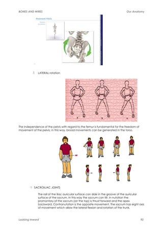 BONES AND WIRES                                                                 Our Anatomy




              LATERAL rotation




The independence of the pelvis with regard to the femur is fundamental for the freedom of
movement of the pelvis; in this way, broad movements can be generated in the torso.




           SACROILIAC JOINTS

              The rail of the iliac auricular surface can slide in the groove of the auricular
              surface of the sacrum. In this way the sacrum can tilt. In nutation the
              promontory of the sacrum (on the top) is thrust forward and the apex
              backward. Contranutation is the opposite movement. The sacrum has eight axis
              of movement which allow the lateral flexion and rotation of the trunk.



Looking Inward                                                                              92
 