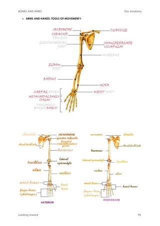 BONES AND WIRES                            Our Anatomy

  6. ARMS AND HANDS: TOOLS OF MOVEMENT I




Looking Inward                                     95
 