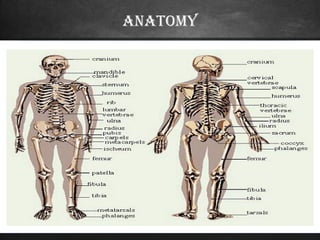 Bone scan | PPT