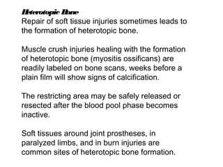 Heterotopic Bone
Repair of soft tissue injuries sometimes leads to
the formation of heterotopic bone.
Muscle crush injuries healing with the formation
of heterotopic bone (myositis ossificans) are
readily labeled on bone scans, weeks before a
plain film will show signs of calcification.
The restricting area may be safely released or
resected after the blood pool phase becomes
inactive.
Soft tissues around joint prostheses, in
paralyzed limbs, and in burn injuries are
common sites of heterotopic bone formation.
 