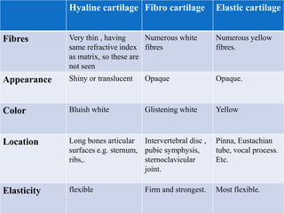 bones & cartilage-1.ppt Abcdefghijklmnopqrstuvwxyz | PPT