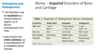 Bones I.pptx