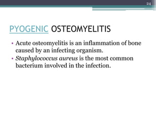 PYOGENIC OSTEOMYELITIS
• Acute osteomyelitis is an inflammation of bone
caused by an infecting organism.
• Staphylococcus aureus is the most common
bacterium involved in the infection.
24
 
