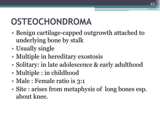 OSTEOCHONDROMA
• Benign cartilage-capped outgrowth attached to
underlying bone by stalk
• Usually single
• Multiple in hereditary exostosis
• Solitary: in late adolescence & early adulthood
• Multiple : in childhood
• Male : Female ratio is 3:1
• Site : arises from metaphysis of long bones esp.
about knee.
43
 