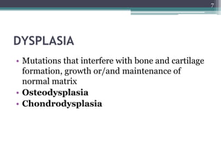DYSPLASIA
• Mutations that interfere with bone and cartilage
formation, growth or/and maintenance of
normal matrix
• Osteodysplasia
• Chondrodysplasia
7
 