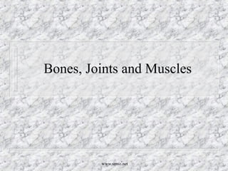www.smso.net
Bones, Joints and Muscles
 