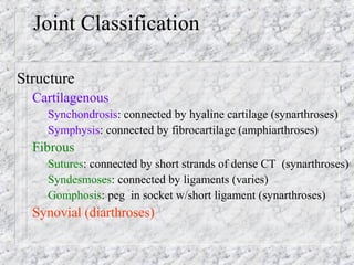 Joint Classification
Structure
– Cartilagenous
Synchondrosis: connected by hyaline cartilage (synarthroses)
Symphysis: connected by fibrocartilage (amphiarthroses)
– Fibrous
Sutures: connected by short strands of dense CT (synarthroses)
Syndesmoses: connected by ligaments (varies)
Gomphosis: peg in socket w/short ligament (synarthroses)
– Synovial (diarthroses)
 