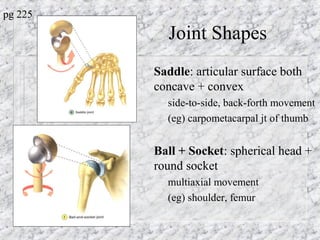 Joint Shapes
Saddle: articular surface both
concave + convex
– side-to-side, back-forth movement
– (eg) carpometacarpal jt of thumb
–
Ball + Socket: spherical head +
round socket
– multiaxial movement
– (eg) shoulder, femur
pg 225
 