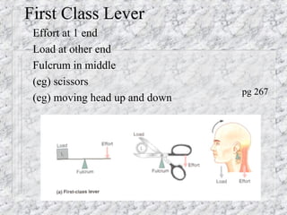 First Class Lever
Effort at 1 end
Load at other end
Fulcrum in middle
(eg) scissors
(eg) moving head up and down
pg 267
 