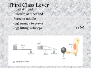 Third Class Lever
Load at 1 end
Fulcrum at other end
Force in middle
(eg) using a tweezers
(eg) lifting w/biceps pg 267
 