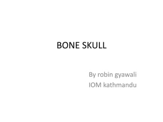 BONE SKULL
By robin gyawali
IOM kathmandu
 