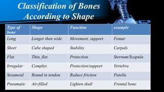 Classification of Bones anatomy, bone types | PPTX