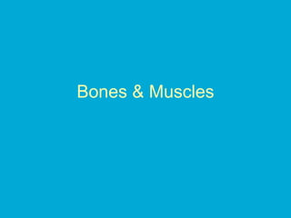 Bones & Muscles
 