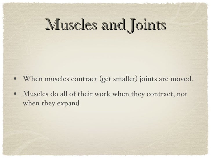 Bones, Muscles And Joints